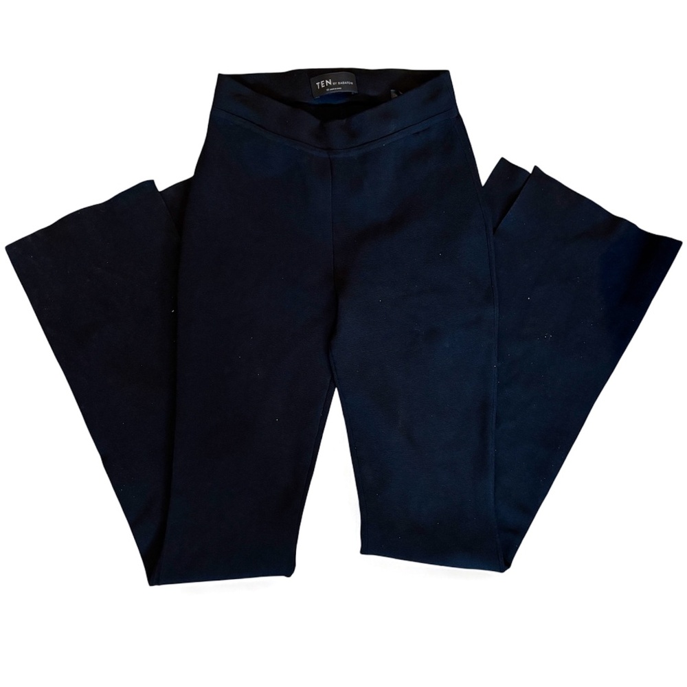 Aritzia Babaton Stretchy Flared Pants